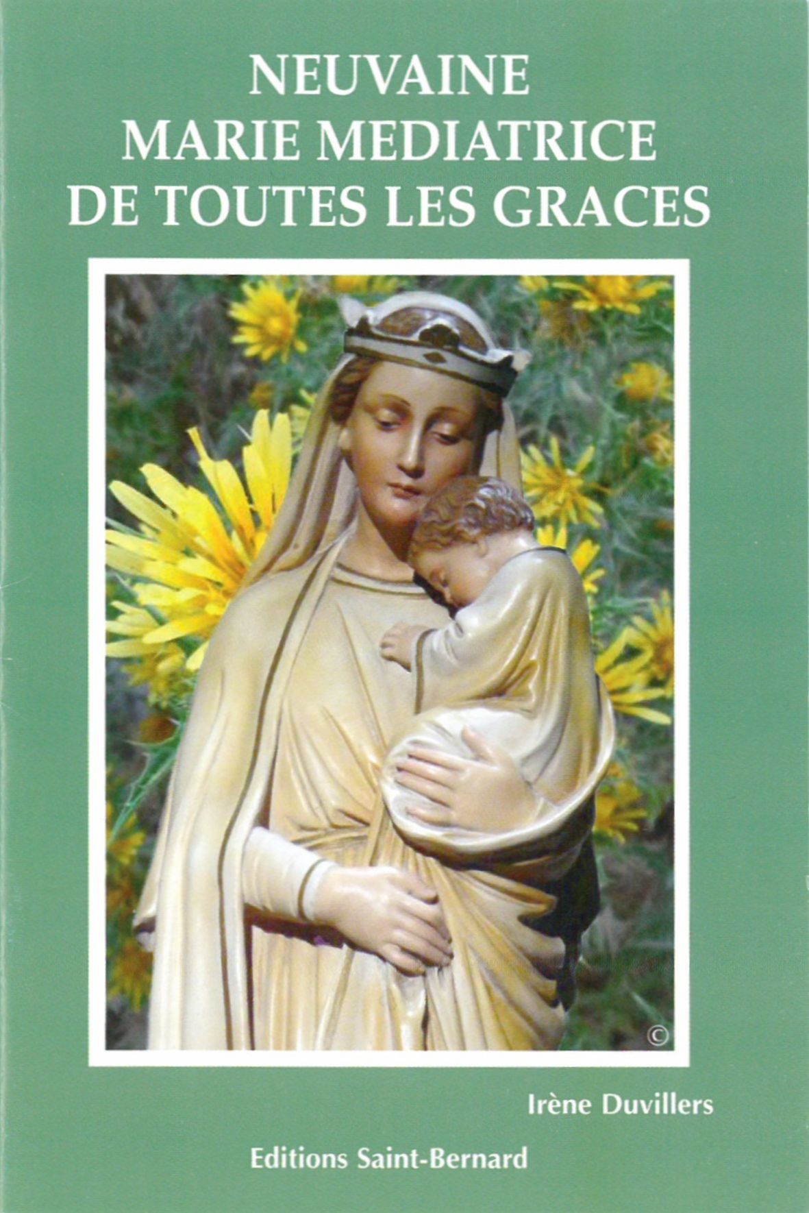 Novena Mary Mediatrix of all graces