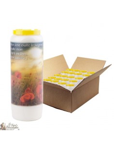Bougies de Neuvaine Jésus prière - 20 pièces