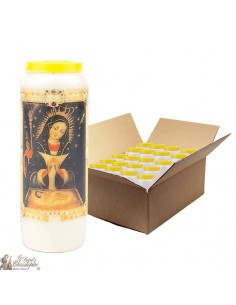 Velas de novena en San André - 20 piezas