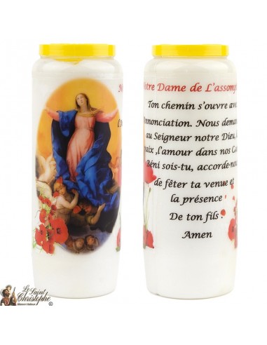 Candele della Vergine Maria Novena di buona consegna - 20 pezzi