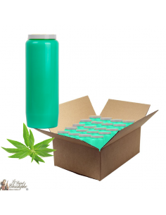 Velas de novena perfumadas Verbena - caja de 20 piezas