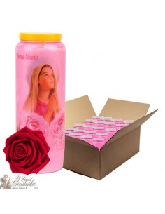 Bougies de Neuvaine Vierge Marie parfumée à la rose - 1 - 20 pièces
