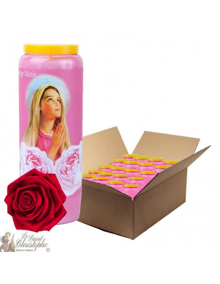Novena Candles Virgin Mary rose scented - 2 - 20 pieces