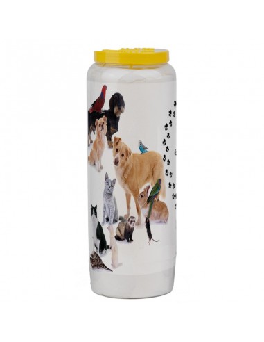 Novena candle for animals 1