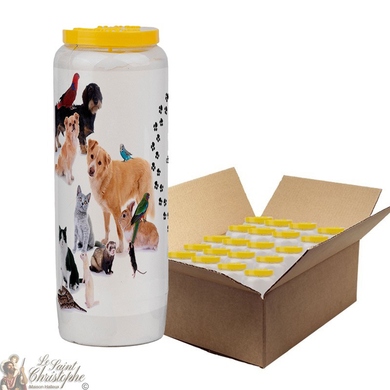 Candela Novena per animali 1 - scatola da 20 pezzi