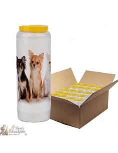 Novena-kaars voor dieren 2 - doos 20 stuks