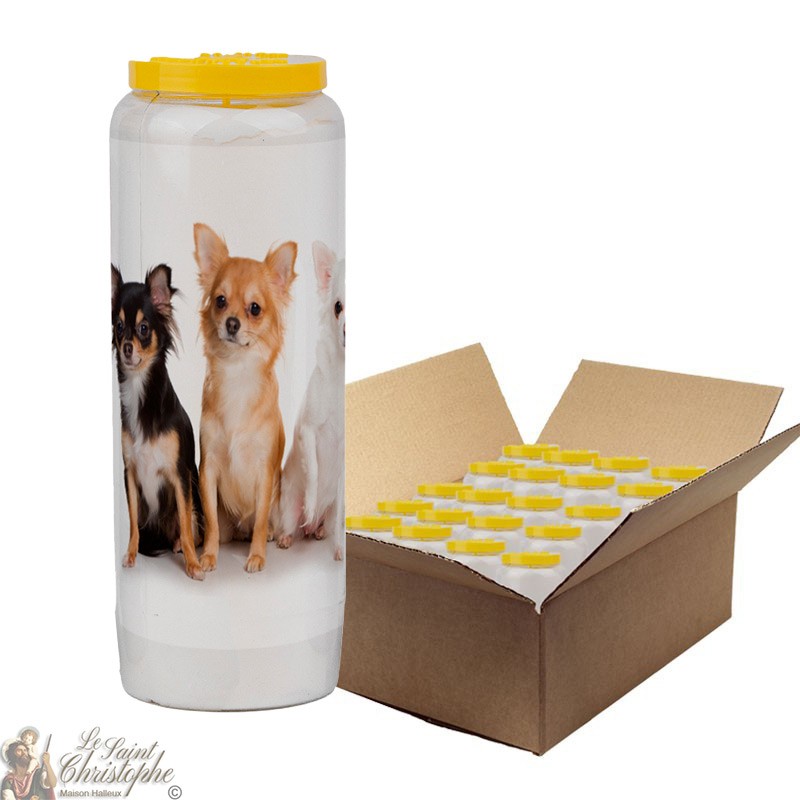 Novena-kaars voor dieren 2 - doos 20 stuks