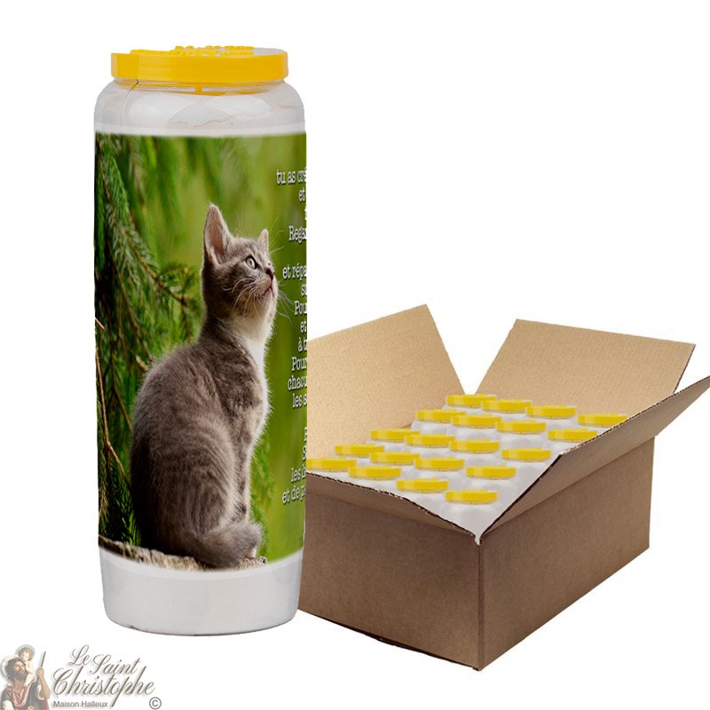 Novena candle for animals 4 - box 20 pieces