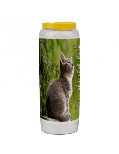 Novena candle for animals 4 - box 20 pieces