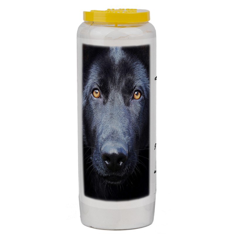 Novena candle for animals 5