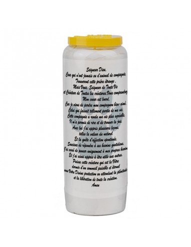 Novena candle for animals 5