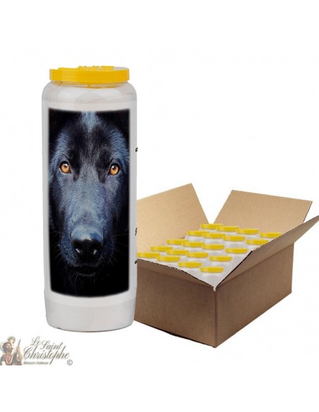 Novena-kaars voor dieren 5 - doos 20 stuks