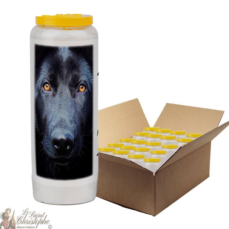 Novena candle for animals 5 - box 20 pieces