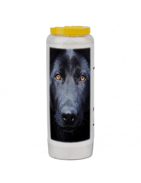 Novena candle for animals 5 - box 20 pieces