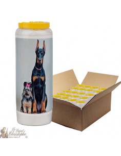Bougie de neuvaine pour animaux 6 - carton 20 pièces