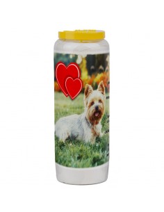 Novena candle for animals 7