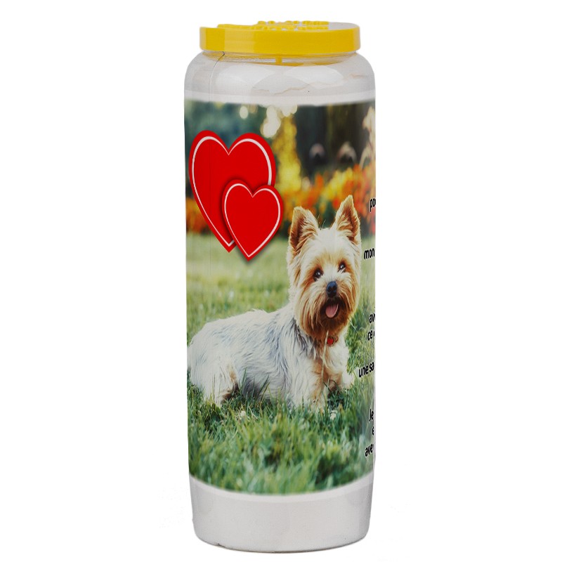 Novena-kaars voor dieren 7