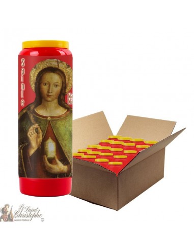 Rode Novena Kaars voor de Heilige Maria Magdalena - 20 stuks