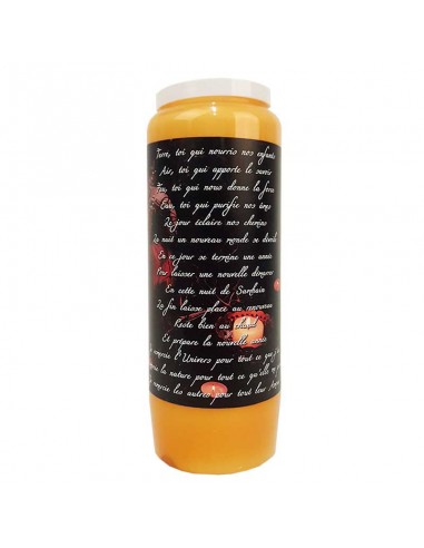 Novena candles orange Halloween Samhain pumpkins - box 20 pcs