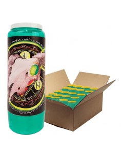 Bougies de neuvaine vertes Halloween - Crâne - carton 20 pièces