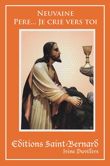 Novena booklet Father... I cry out to you