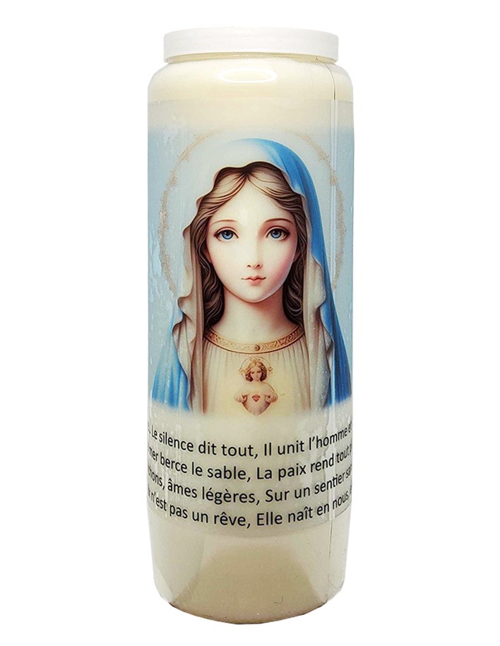 Novenekaars tot het Heilig Hart van Maria - Engelhart - 30