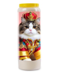Noveenkaars Kat – Een Koninklijk Eerbetoon aan Uw Vriend