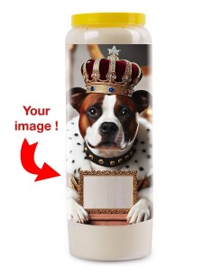 Bougie de neuvaine Chien mon Compagnon avec photo - Pitbull