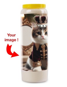 Novenekaars Kat mijn Gezel met foto - Kitten