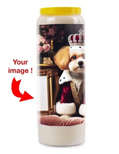 Novenakaars Hond mijn Gezel met foto - Shih tzu