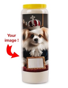 Bougie de neuvaine Chien mon Compagnon avec photo - Epagneul